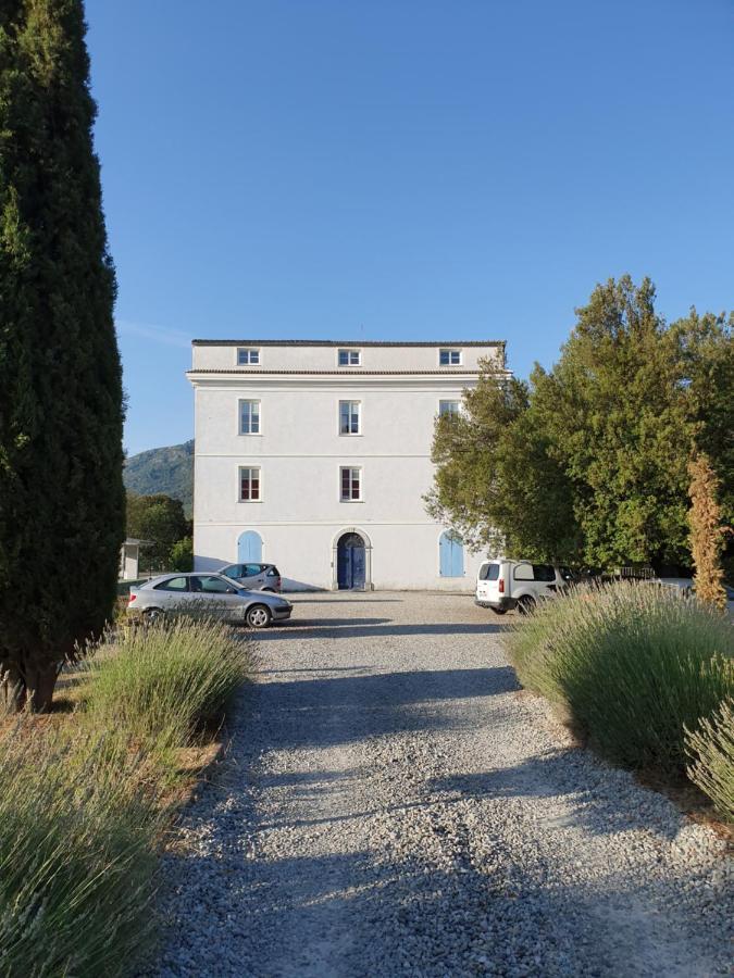 科尔特Casa Guelfucci住宿加早餐旅馆 外观 照片